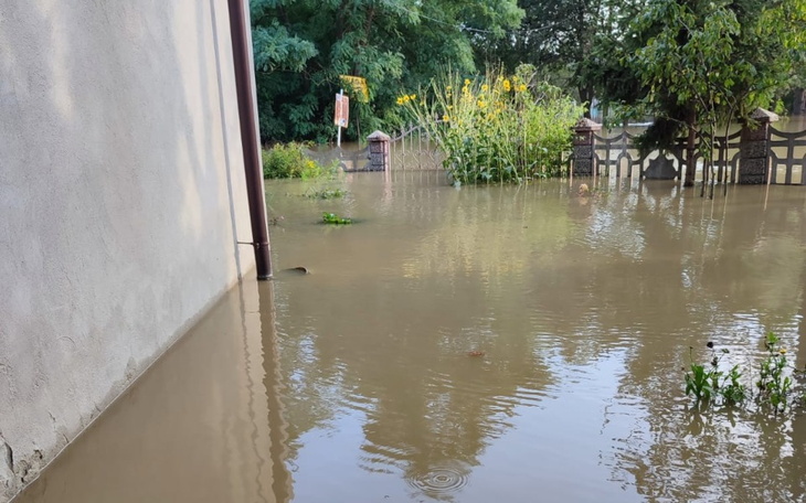 Zalane podwórko z roślinnością, woda sięga do ściany budynku.