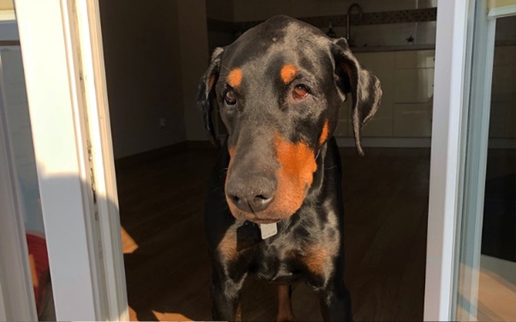 Zbiórka Spokojna starość dla Igora 🖤 - zdjęcie główne