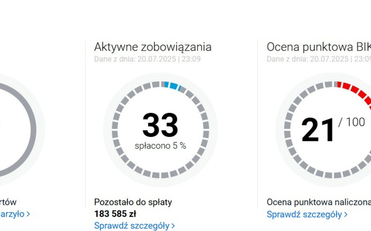Zrzut ekranu z danymi finansowymi, w tym ocena punktowa.