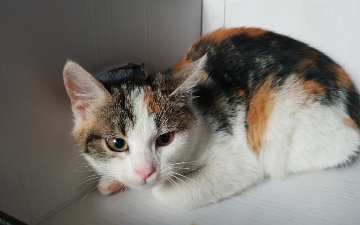 Zbiórka Po co się urodziła - zdjęcie główne