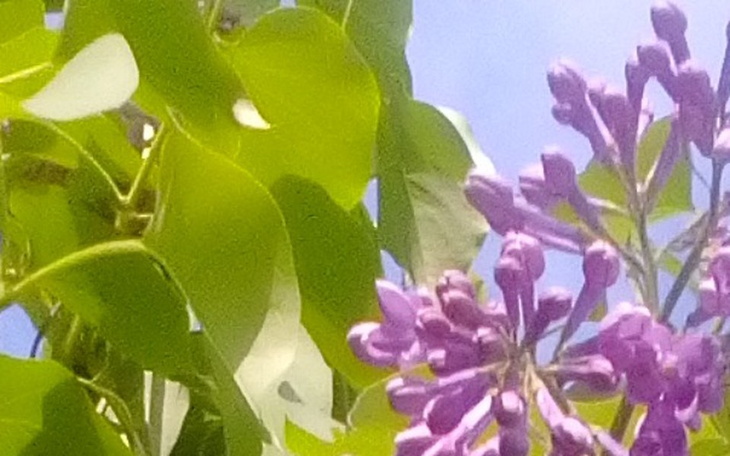 Zbiórka Laptop dla badania - zdjęcie główne