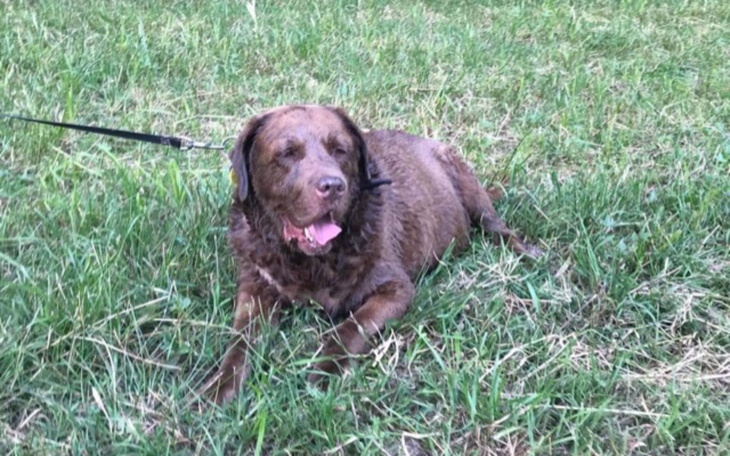 Zbiórka Starość nie radość. - zdjęcie główne