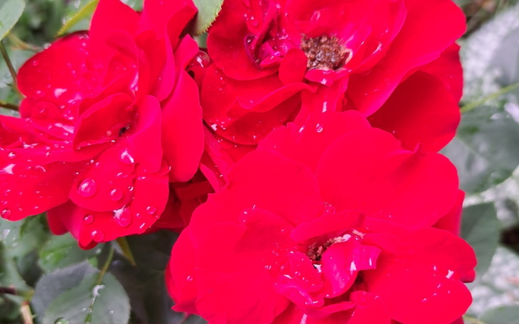 Zbiórka Na lepsze życie................. - zdjęcie główne