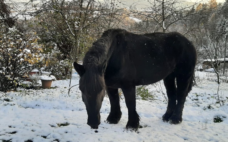 Zbiórka Baśka chce żyć - zdjęcie główne