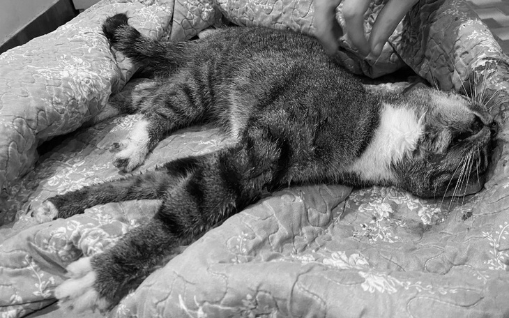 Zbiórka Ta pomoc przyszła za późno - zdjęcie główne