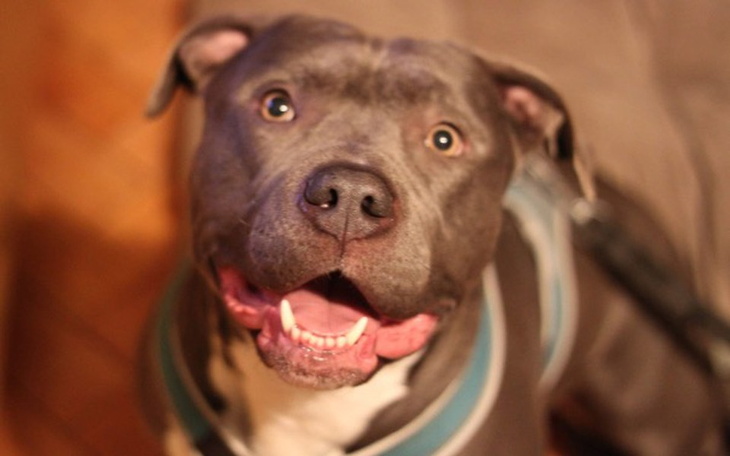 Zbiórka LUNA - na operacje kregosłupa - zdjęcie główne