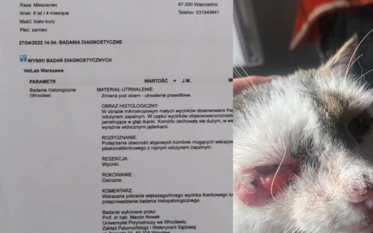 Zbiórka Dla Chrapka - zdjęcie główne