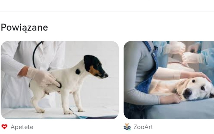 Zbiórka Na karmę dla zwierzątkotów ipsów - zdjęcie główne