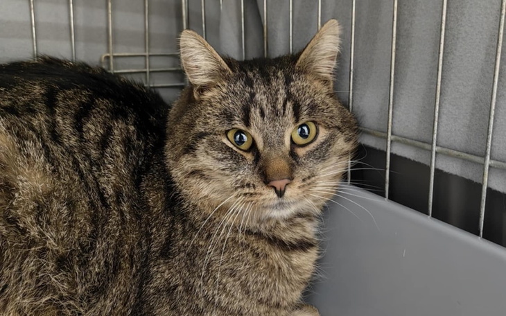 Zbiórka On nie może wrócić na ulicę - zdjęcie główne