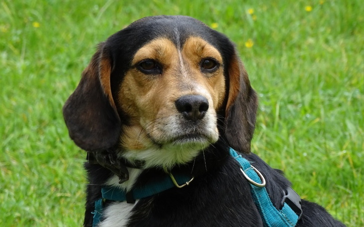 Zbiórka Kapsel zbiera na lepsze życie. - zdjęcie główne