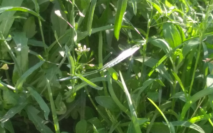 Zbiórka Na gry dla wszstkich - zdjęcie główne