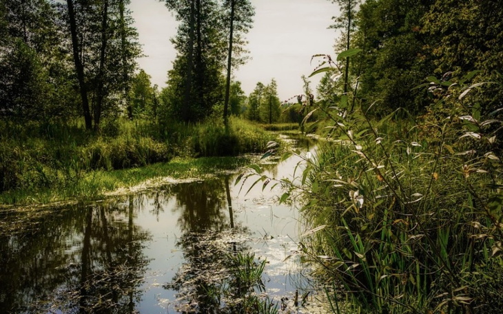 Zbiórka Dzikie jest piękne 2023 - zdjęcie główne