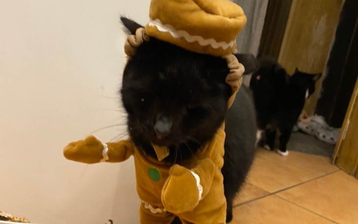 Zbiórka Na podróż po całej Polsce - zdjęcie główne