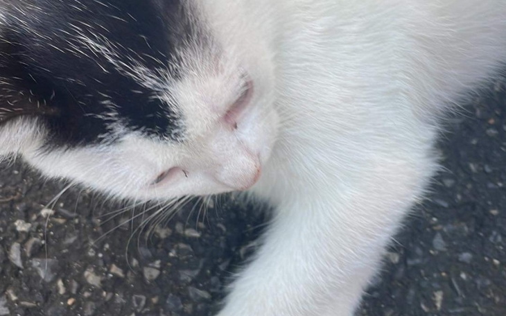 Zbiórka Podstawowe wyposażenie dla Julci - zdjęcie główne