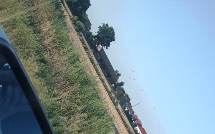 Zbiórka Prosimy o pomocy - zdjęcie główne