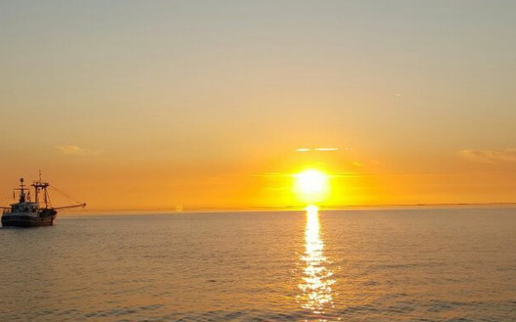 Zbiórka Zbiórka dla piesków z Ciapkowa - zdjęcie główne