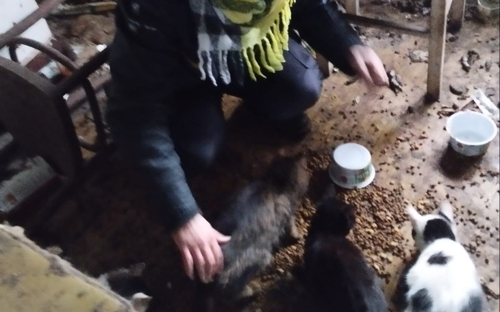 Osoba karmiąca koty w trudnych warunkach, potrzeba wsparcia.
