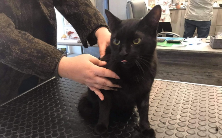 Zbiórka Church- diagnostyka - zdjęcie główne