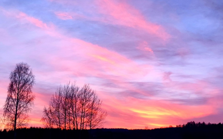 Zbiórka Na studia i wakacje - zdjęcie główne