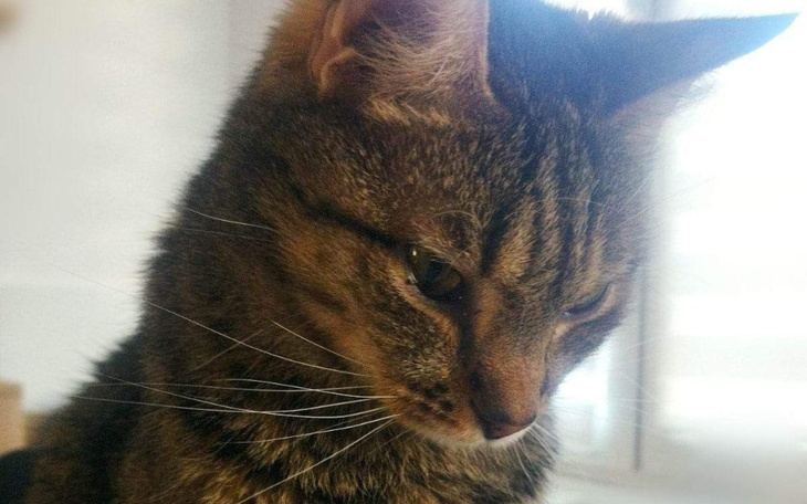 Zbiórka Ostatnia szansa dla Juniora - zdjęcie główne