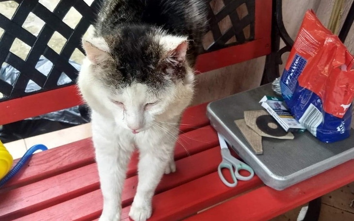 Zbiórka Zbiórka na kota Partyzanta - zdjęcie główne