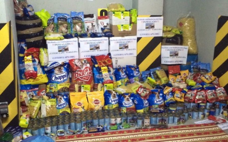 Zbiórka Pomoc dla potrzebujących piesków - zdjęcie główne