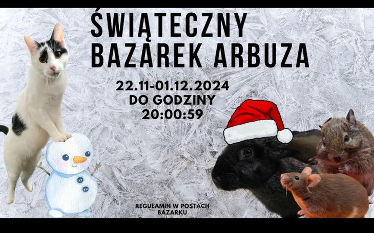 Zbiórka Zimowy bazarek ArbuZa 2024 - zdjęcie główne