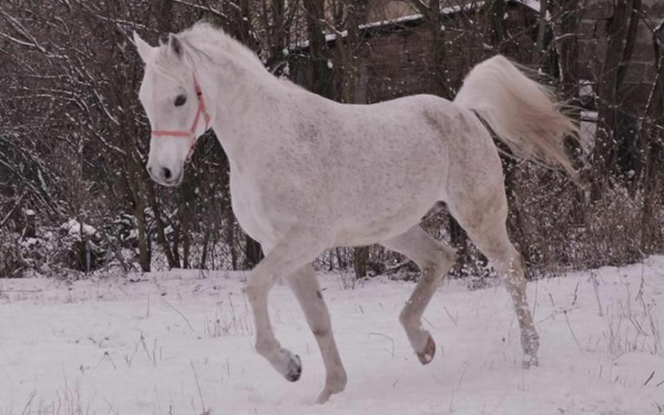 Zbiórka Na ratunek 13 maj - zdjęcie główne