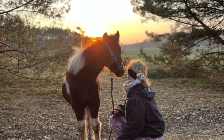 Dziewczyna przytulająca konia podczas zachodu słońca.