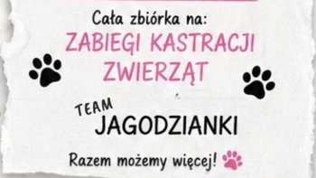 Zbiórka Półmaraton za kastracje? - miniaturka zdjęcia