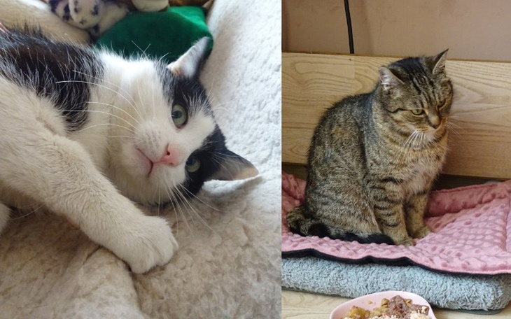 Zbiórka Opłacenie leczenia bezdomniaków - zdjęcie główne