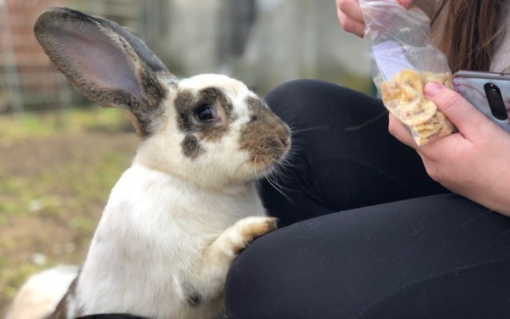 Zbiórka Na wszelakie potrzeby Azylantów - zdjęcie główne