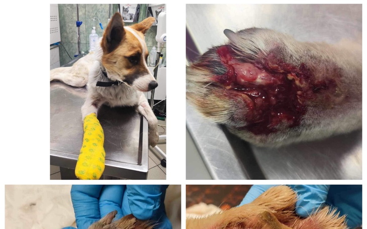 Zbiórka Justi. - zdjęcie główne