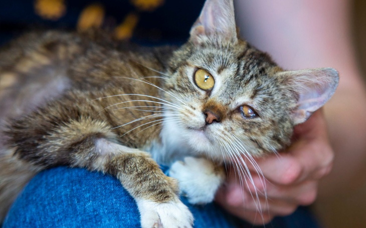 Zbiórka Mruczarnia, sierpień 2022 - zdjęcie główne