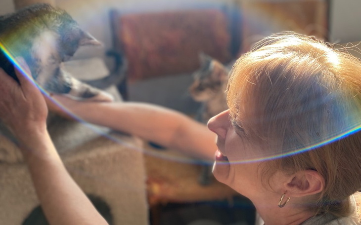 Zbiórka Utrzymanie kociaków - czerwiec - zdjęcie główne