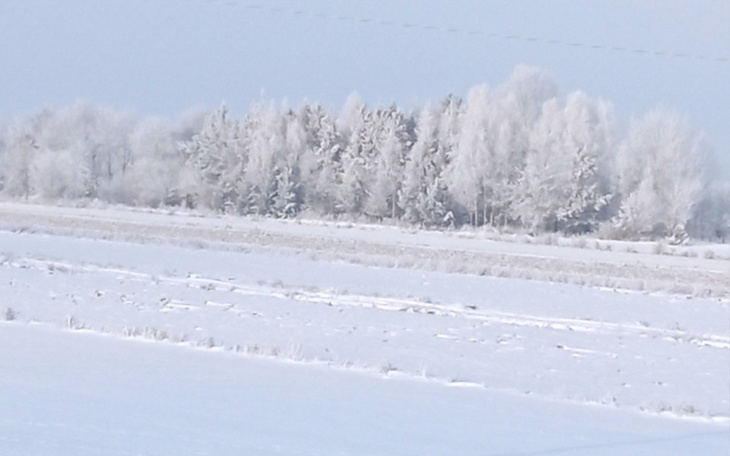 Zbiórka Przedszkole nocne - zdjęcie główne
