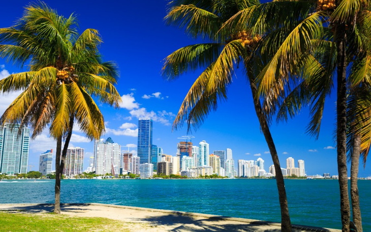 Zbiórka Spełnienie moich marzeń sh - zdjęcie główne