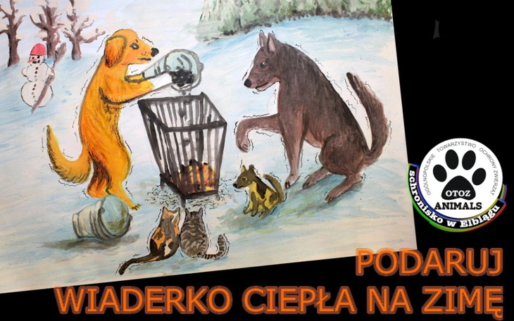 Zbiórka Ogrzejmy elbląskie bezdomniaki - zdjęcie główne