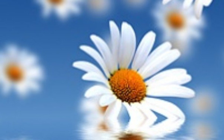 Zbiórka pomoc w realizacji marzeń - zdjęcie główne