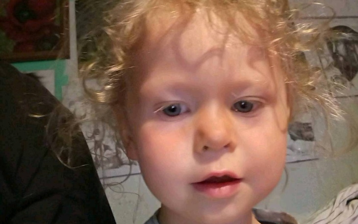 Zbiórka Odnalezienie wnuka, na adwokata - zdjęcie główne