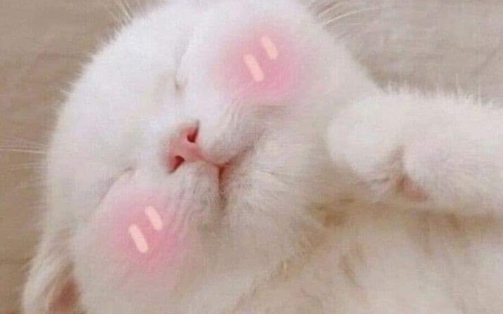 Zbiórka na wyczieczke - zdjęcie główne