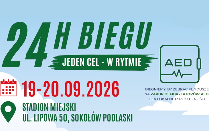 Głowa i obcięta końcówka kłów zbliżenie na rany i ranę na ciele zwierzęcia.