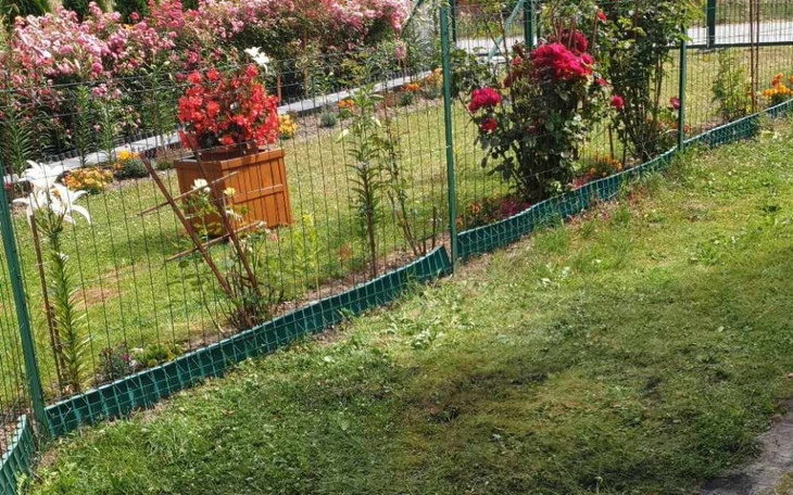 Zbiórka Wyjazd za granicę 2024 - zdjęcie główne