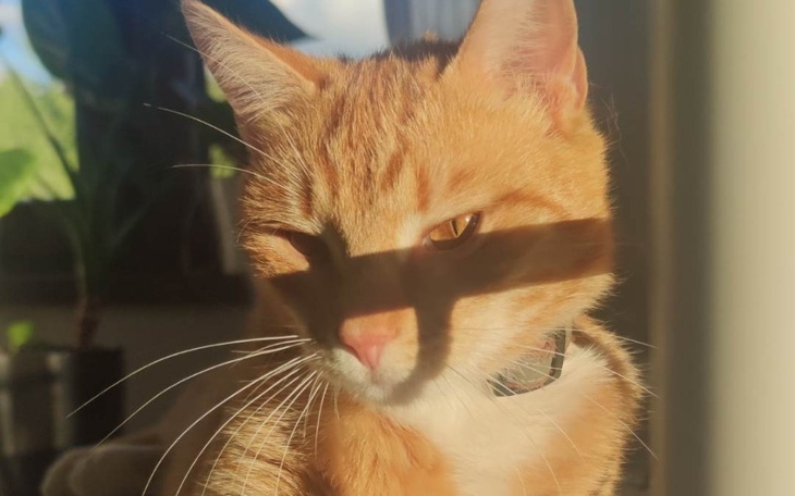 Zbiórka Zapaleniem otrzewnej vs. Rich - zdjęcie główne