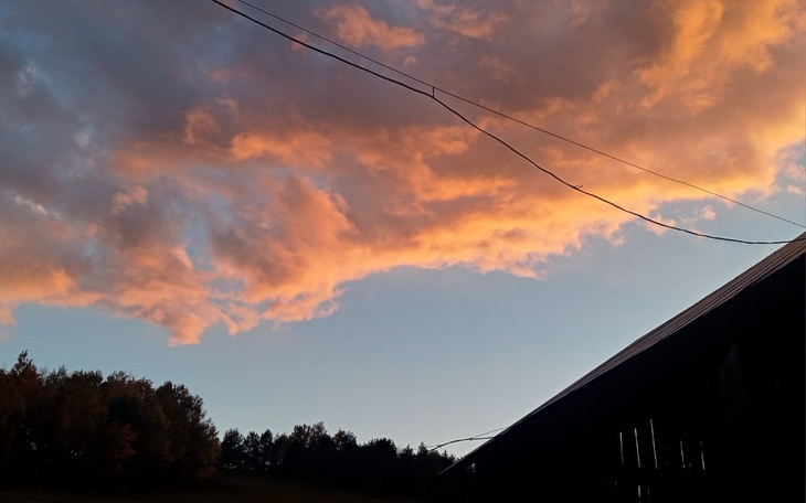 Zbiórka Marzenie na lepsze jutro - zdjęcie główne