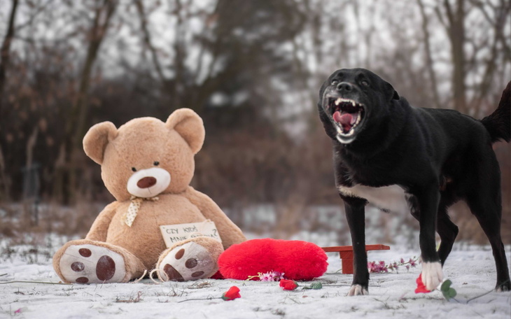 Czarny pies obok dużego misia na tle zimowego krajobrazu.