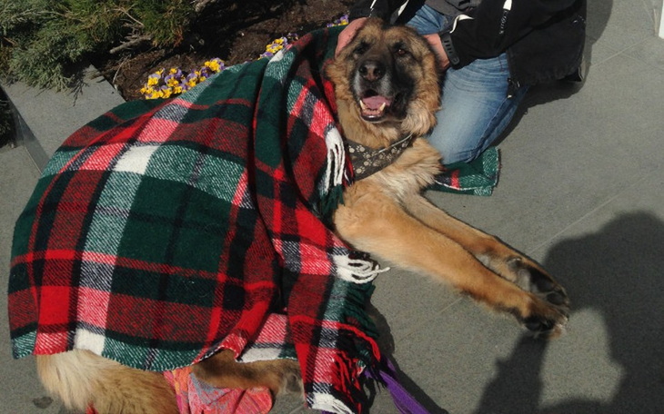 Zbiórka Nie chcę już umierać - zdjęcie główne