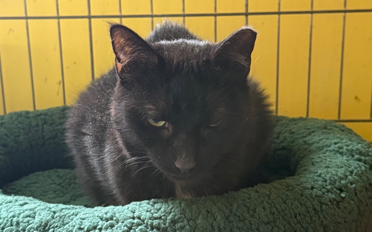 Zbiórka Pomoc dla Karolka - zdjęcie główne