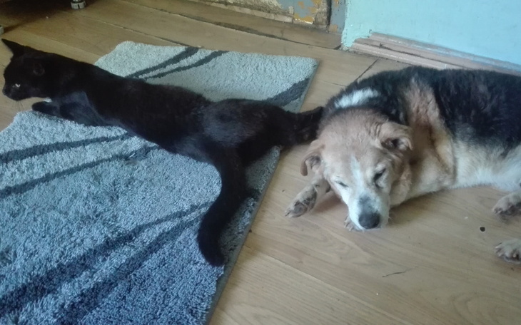 Zbiórka Ogrzewanie dla staruszków - zdjęcie główne