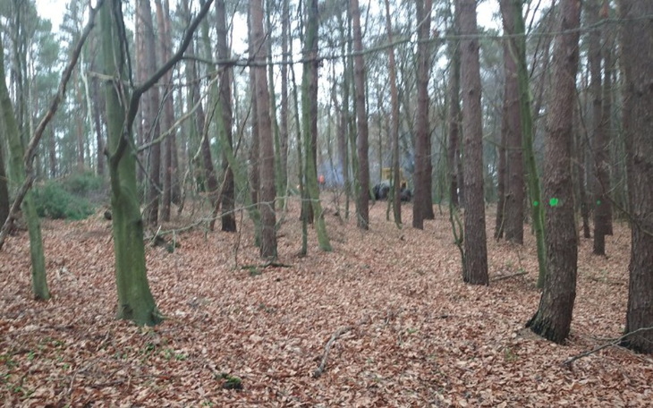 Zbiórka Zbieram na ciągnik do lasu - zdjęcie główne